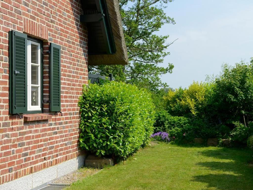 Wildrose Ferienhaus Boltenhagen  Eksteriør bilde